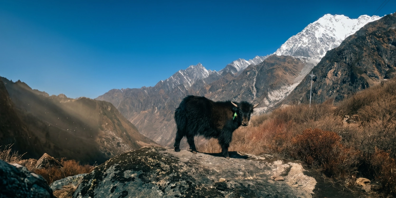 Langtang Valley Trek photo 2