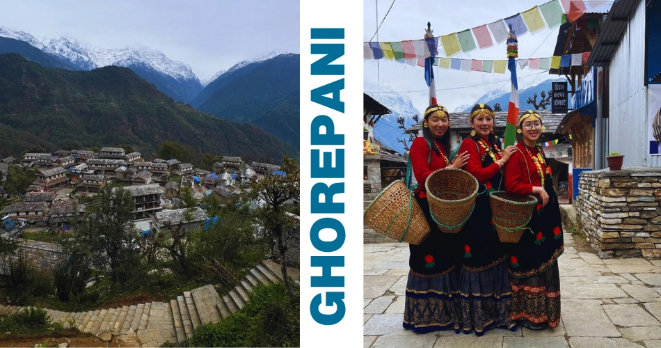 ghorepani-poonhill-trek-beauty