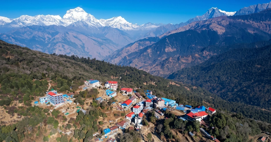 teshouses-in-poonhill-trek